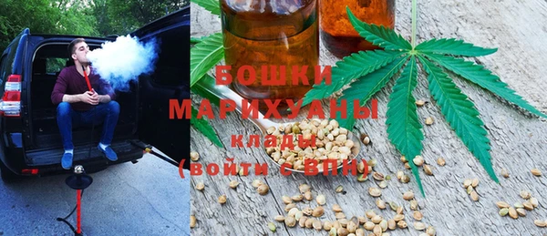 гашик Бородино