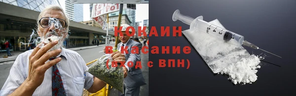 гашик Бородино