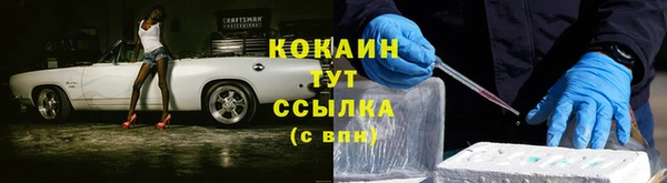 гидра Белокуриха