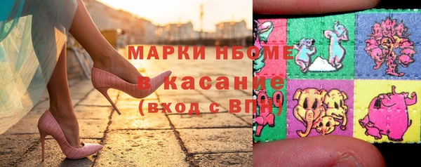 шишки Коряжма