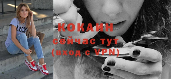 гашик Бородино
