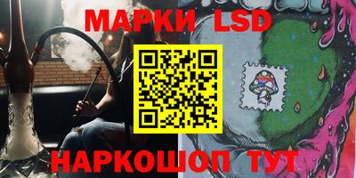 гашик Можга