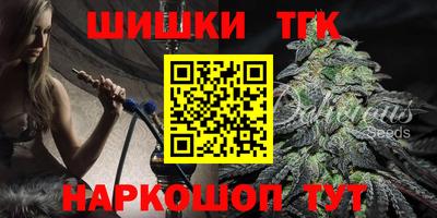 гашик Можга