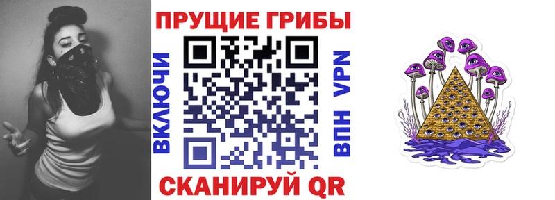Псилоцибиновые грибы Psilocybe  Гулькевичи 