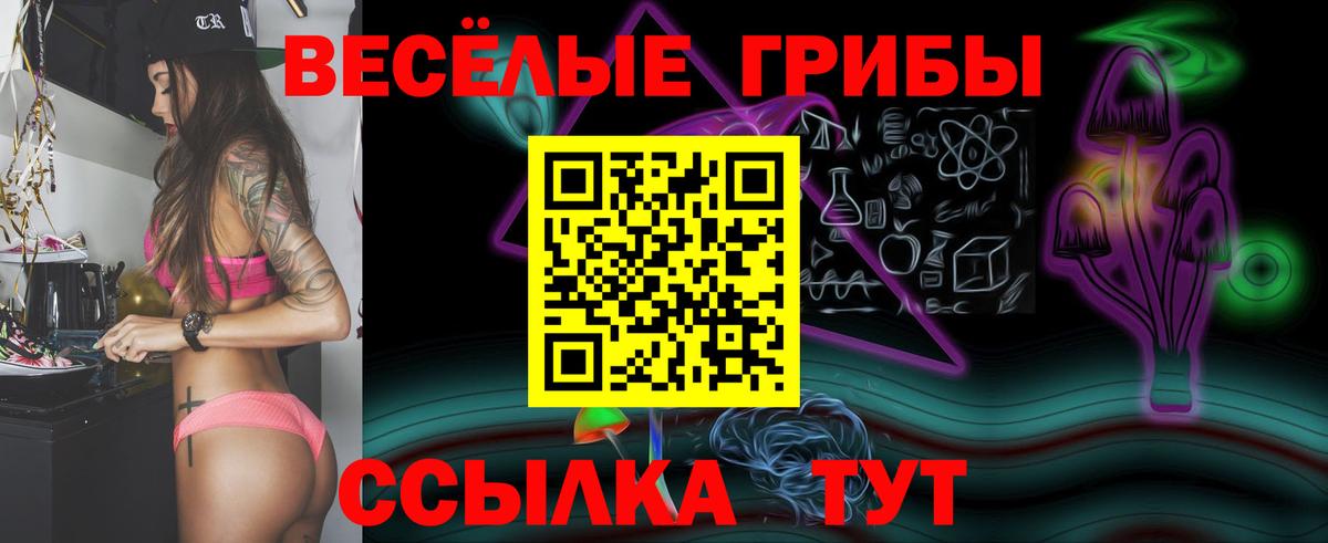 Псилоцибиновые грибы Magic Shrooms  Вход с VPN  Гулькевичи  Псилоцибиновые грибы Psilocybe 